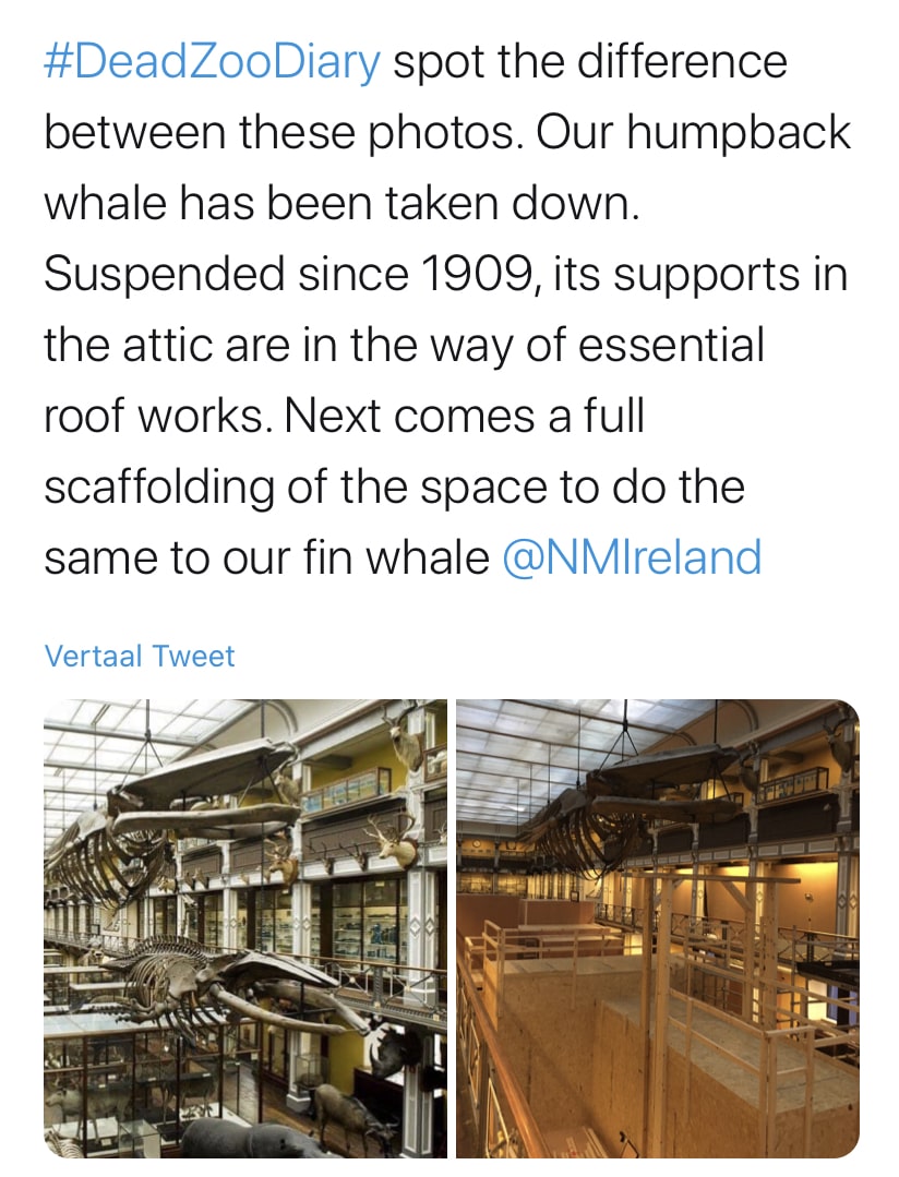 tweet National Museum of Ireland -  Natural History | Dublin (IRL)